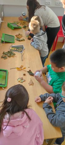 f019de7f-7ed4-4e49-8bbb-7abbb7b3bf24 f019de7f-7ed4-4e49-8bbb-7abbb7b3bf24