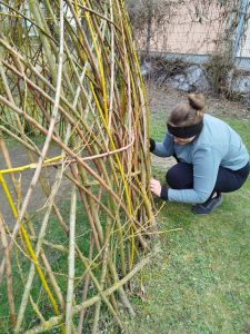 IMG-20260326-WA0011 IMG-20260326-WA0011